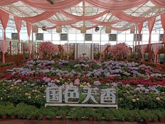 -盈香心动乐园