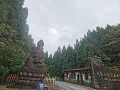 -武陵山森林公园
