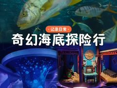 -大连圣亚海洋世界