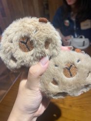 -Zoolung Zoolung动物主题公园(海信广场店)