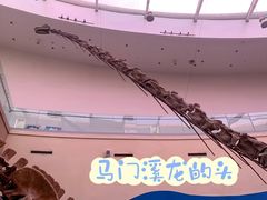 -陕西自然博物馆