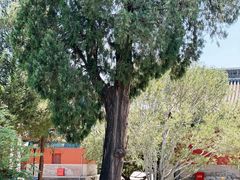 -大钟寺古钟博物馆