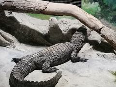 -上海大自然野生昆虫馆