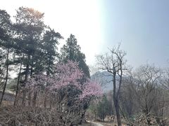 -鹫峰国家森林公园