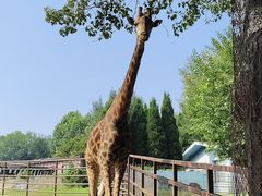 -大连森林动物园