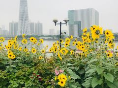 -二沙岛艺术公园