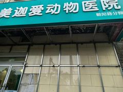 -美迦爱-动物医院·骨科·牙科·夜诊(朝阳路诊疗中心)