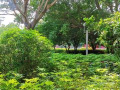 -深圳少年儿童图书馆