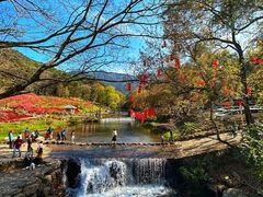 -广州市石门国家森林公园