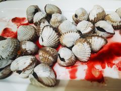 血蛤-华盛丰温州大排档(东三环南路店)