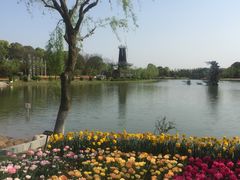-上海鲜花港