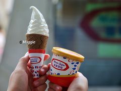 -富豪雪糕车流动点(尖沙咀店)