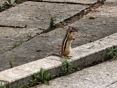 -长春市南湖公园