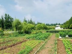 -前小桔亲子创意农场·草莓采摘·露营烧烤