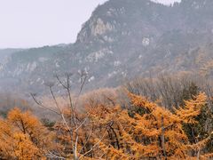 -沂蒙山旅游区云蒙景区(蒙山国家森林公园)