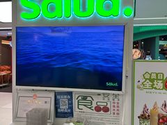 -Salud撒露欧洲冻酸奶(五道口购物中心店)