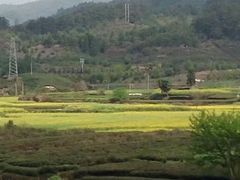 景点-婺源月亮湾