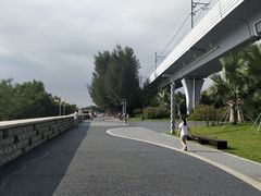 -宝安西湾红树林湿地公园