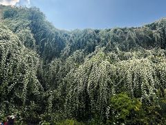 -府河摄影公园