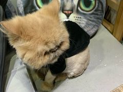 -小时光咖啡馆(开森度假森林店)