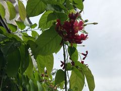 -广东温泉宾馆