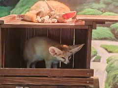 -绿色星球动物主题公园