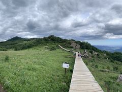 -白草畔自然风景区