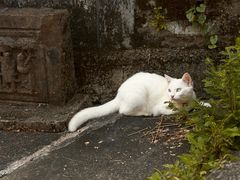 -东钱湖旅游度假区
