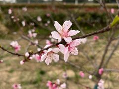 -嘉北郊野公园