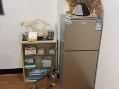 -荔康动物医院(康王北路店)