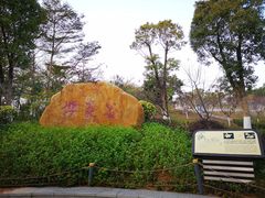 -聚龙山公园