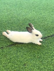 -萌宠亲子动物乐园(槐房万达店)