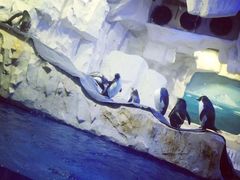 -华夏文旅海洋公园