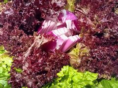-毛家饭店·30年融合新湘菜(无影山店)