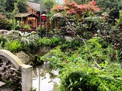 -青城甲(青城山店)