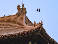 -故宫博物院(故宫)
