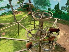 -西霞口神雕山野生动物世界