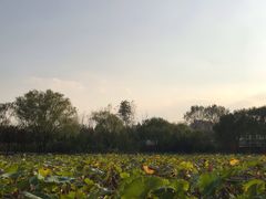 -TIMO COFFEE 阿拉校园面包