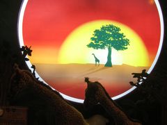 -济州岛泰迪熊博物馆