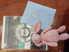 -香港大学