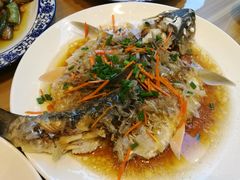 -悠悠美食