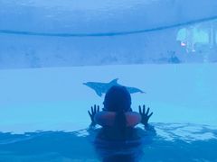 -横琴湾水世界