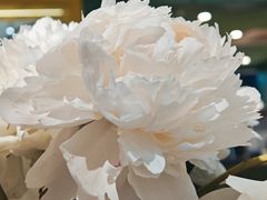 -友谊阳光城