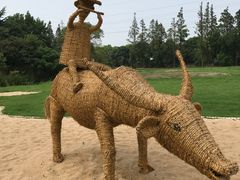 -上海长兴岛郊野公园