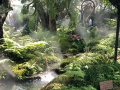 -Chom Cafe and Restaurant