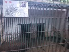 -甘棠公园