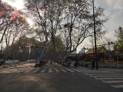 -明故宫遗址公园