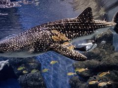 -成都浩海立方海洋公园