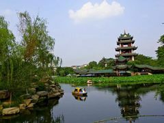 -桂湖森林公园