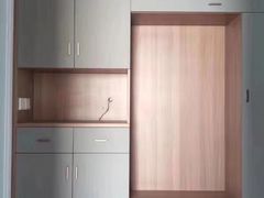 -艾伍奥德全屋定制(锦城万达广场店)